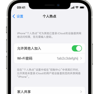 宁津apple服务站点分享iPhone上个人热点丢失了怎么办 