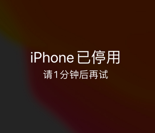 宁津苹果手机维修分享:iPhone 显示“不可用”或“已停用”怎么办？还能保留数据吗？ 