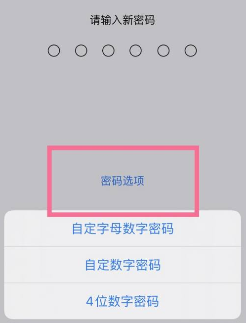 宁津苹果14维修分享iPhone 14plus设置密码的方法 