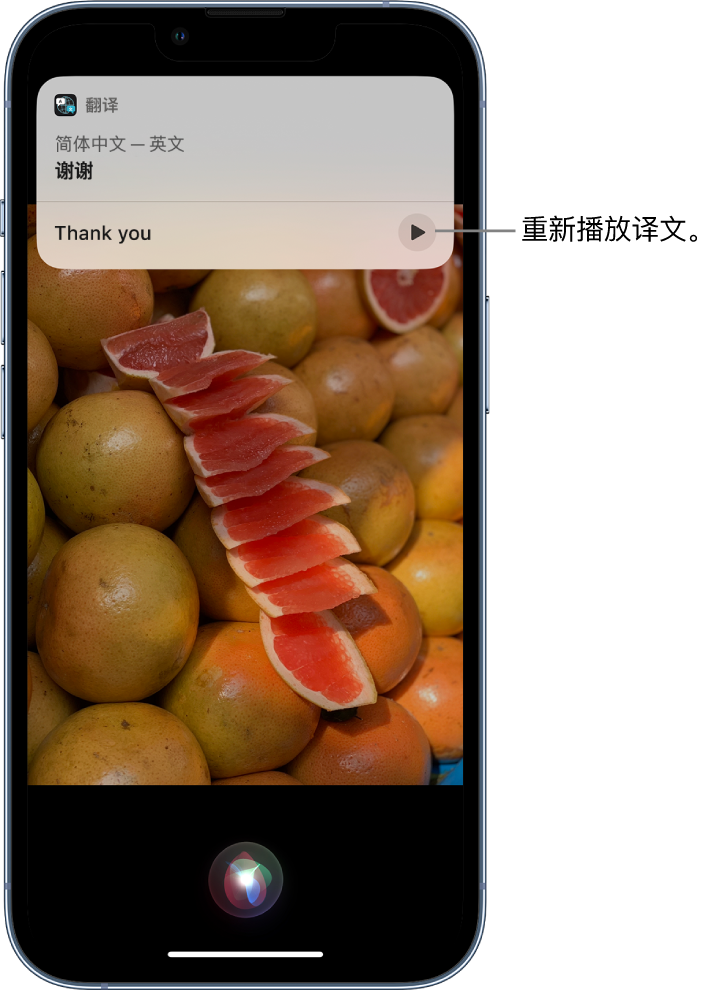 宁津苹果14维修分享 iPhone 14 机型中使用 Siri：了解 Siri 能帮你做什么 