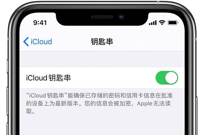 宁津苹果手机维修分享在 iPhone 上开启 iCloud 钥匙串之后会储存哪些信息 