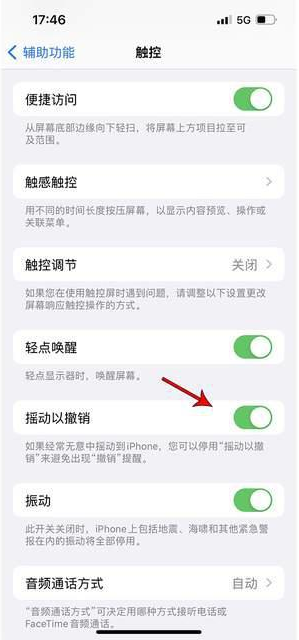 宁津苹果手机维修分享iPhone手机如何设置摇一摇删除文字 